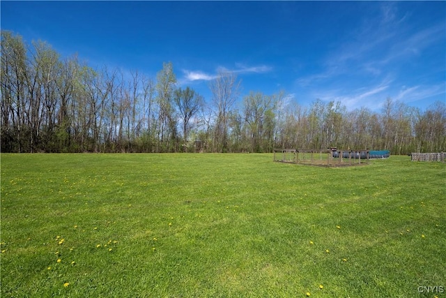 7678 Totman Rd, Cicero, NY 13212 - view of green lawn