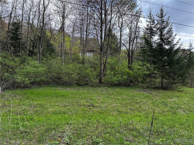 1A Bella Vista Dr, Ellicottville, NY 14731 - photo 8