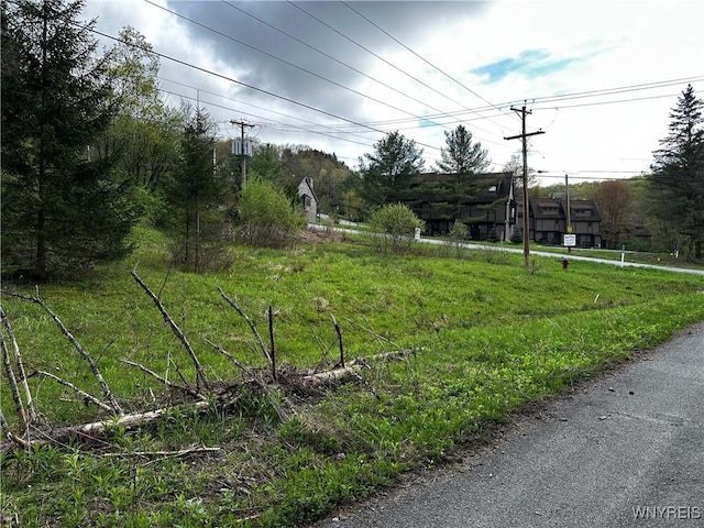 1A Bella Vista Dr, Ellicottville, NY 14731 - photo 9