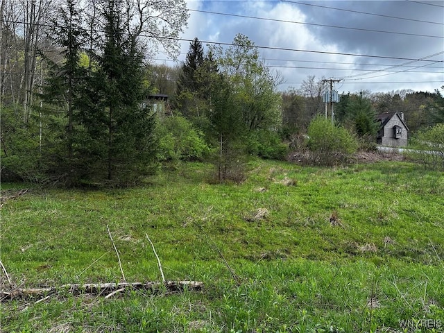 1A Bella Vista Dr, Ellicottville, NY 14731 - photo 11