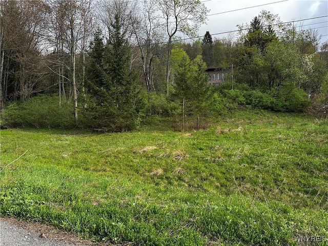 1A Bella Vista Dr, Ellicottville, NY 14731 - photo 12