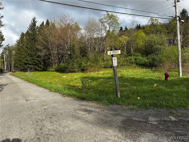 1A Bella Vista Dr, Ellicottville, NY 14731 - photo 13