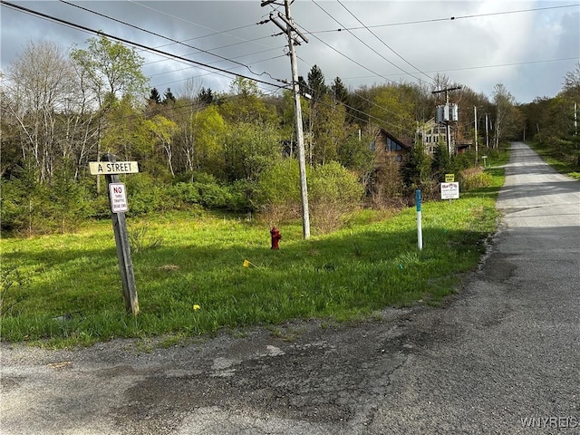 1A Bella Vista Dr, Ellicottville, NY 14731 - photo 14