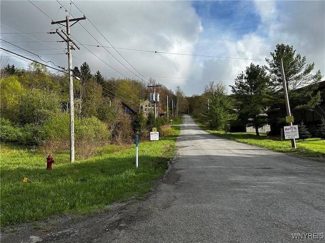 1A Bella Vista Dr, Ellicottville, NY 14731 - photo 15