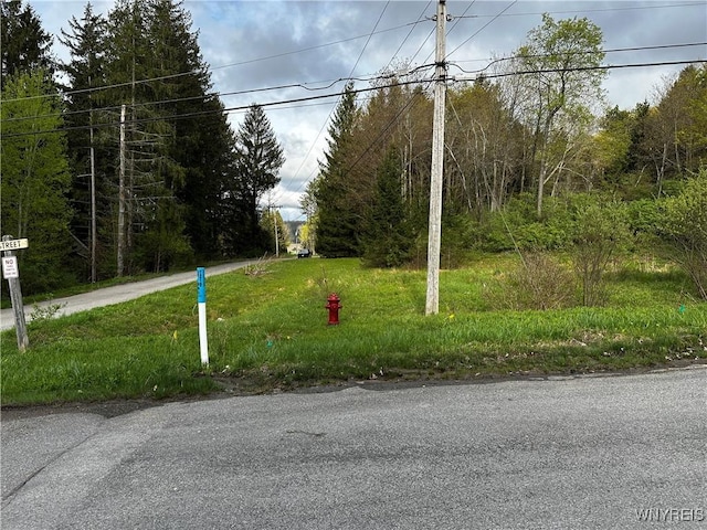 1A Bella Vista Dr, Ellicottville, NY 14731 - photo 16