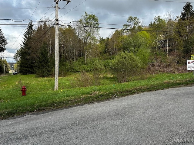 1A Bella Vista Dr, Ellicottville, NY 14731 - photo 17