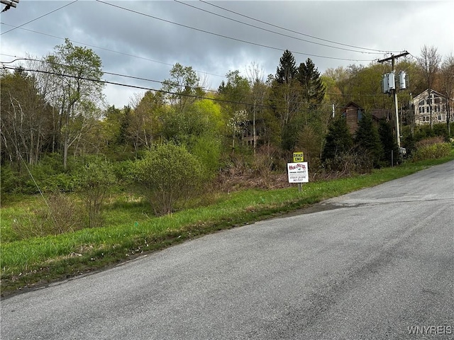 1A Bella Vista Dr, Ellicottville, NY 14731 - photo 18