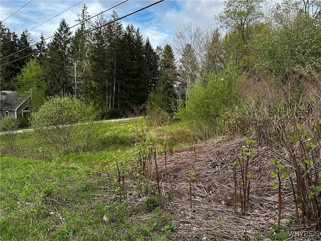 1A Bella Vista Dr, Ellicottville, NY 14731 - photo 21
