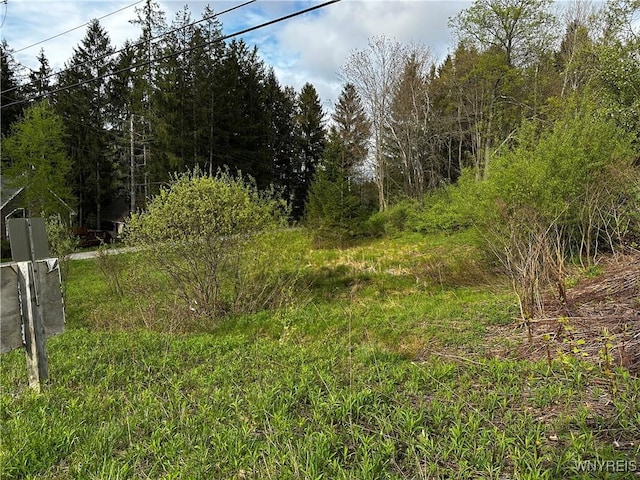 1A Bella Vista Dr, Ellicottville, NY 14731 - photo 22