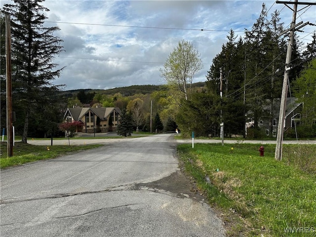 1A Bella Vista Dr, Ellicottville, NY 14731 - photo 23