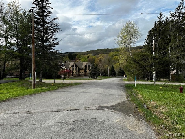 1A Bella Vista Dr, Ellicottville, NY 14731 - photo 24