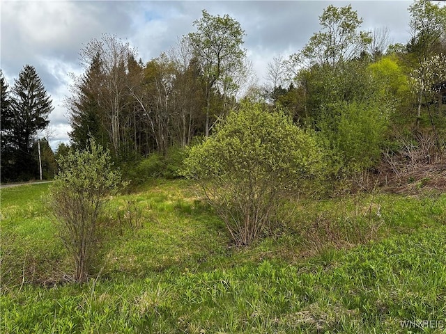 1A Bella Vista Dr, Ellicottville, NY 14731 - photo 25