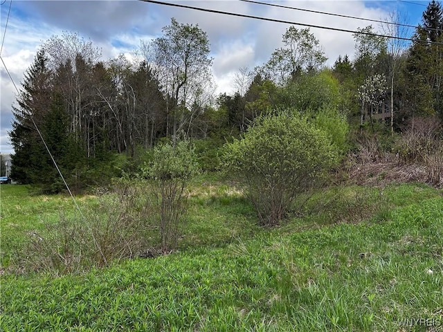 1A Bella Vista Dr, Ellicottville, NY 14731 - photo 27