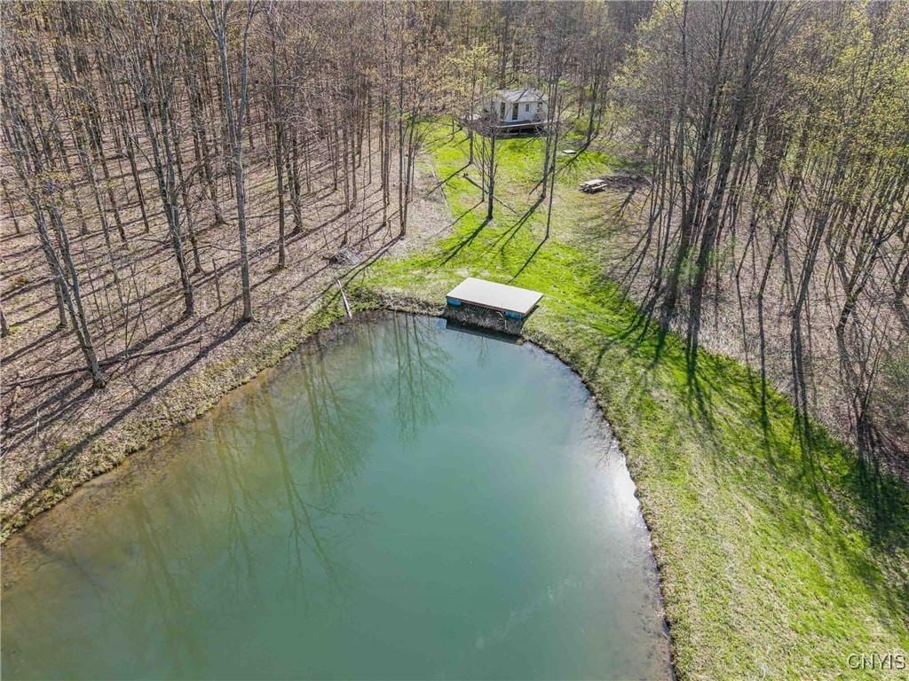 3882 Hurd Rd, Greenwood, NY 14839 - photo 1