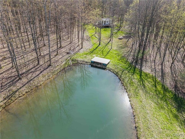 3882 Hurd Rd, Greenwood, NY 14839 - photo 1
