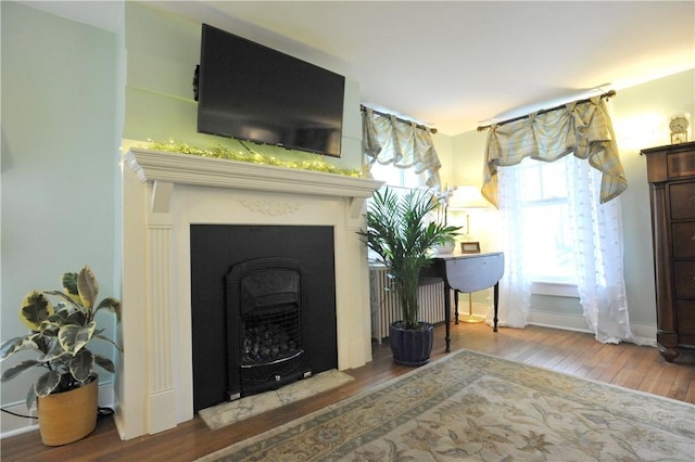 77 Hendy Creek Rd, Big Flats, NY 14905 - living area with wood finished floors, a fireplace, and baseboards