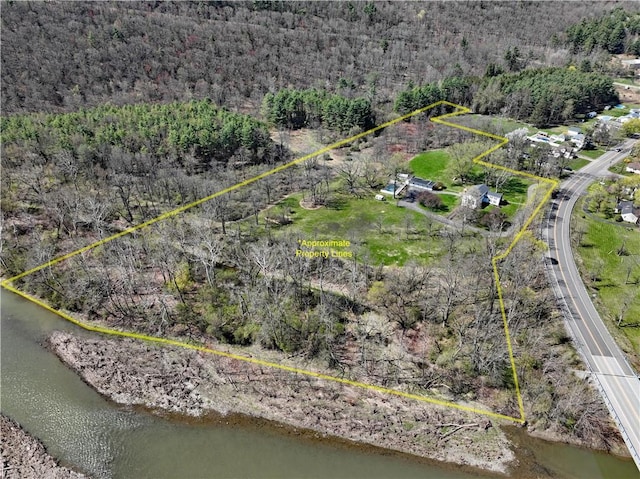77 Hendy Creek Rd, Big Flats, NY 14905 - aerial view of a forest and a nearby body of water