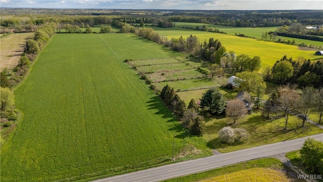 view of rural area featuring extensive farmland