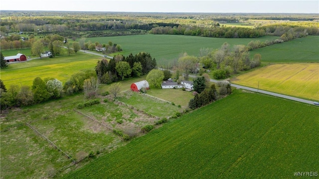 overview of rural landscape with rows of crops