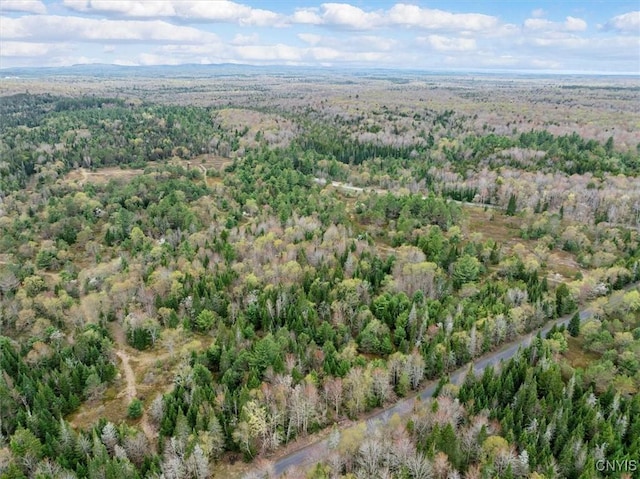 463 Hughes Rd, Russia, NY 13438 - view of property location with a forest