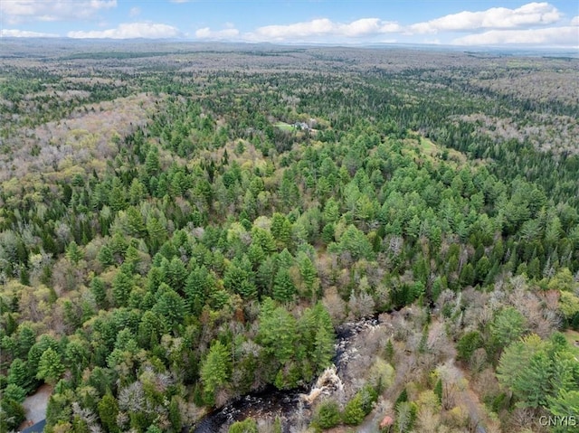 463 Hughes Rd, Russia, NY 13438 - aerial view of property and surrounding area featuring a forest