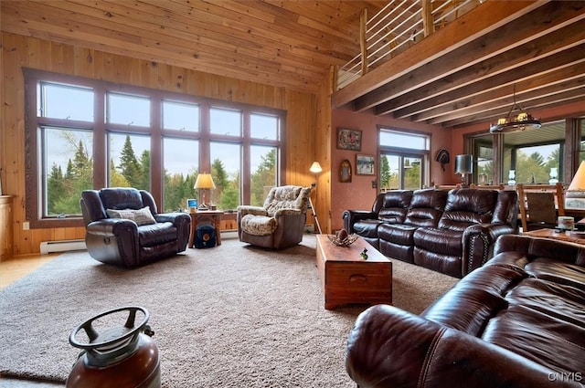 463 Hughes Rd, Russia, NY 13438 - living area featuring vaulted ceiling, wood walls, and baseboard heating