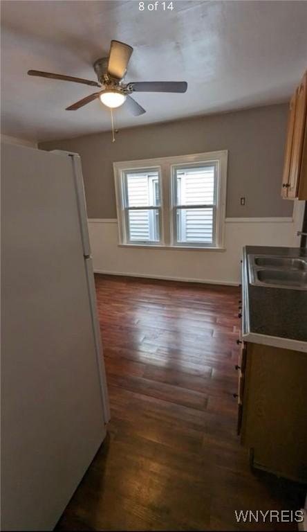 11 Indian Church Rd Unit S, Buffalo, NY 14210 - kitchen featuring freestanding refrigerator, a sink, dark wood-style floors, and ceiling fan