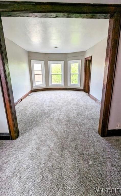 11 Indian Church Rd Unit S, Buffalo, NY 14210 - carpeted spare room featuring plenty of natural light and baseboards