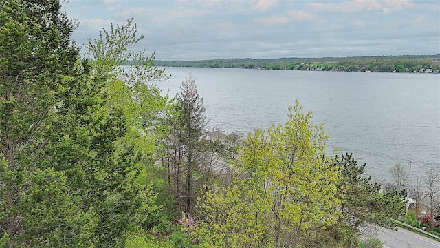 4138 W Lake Rd, Geneseo, NY 14454 - photo 4