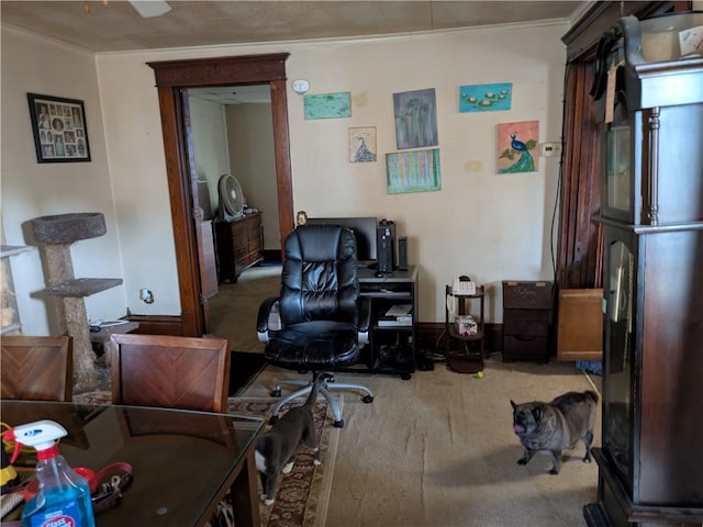 520 E Main St, Bradford-City, PA 16701 - photo 10