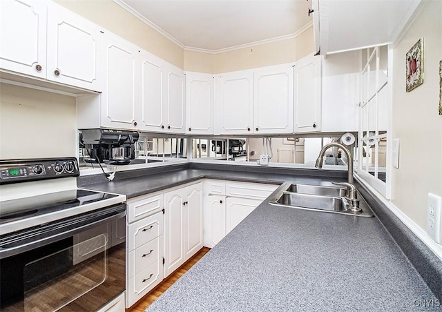 6 Tyler Ct, Manlius, NY 13104 - kitchen with electric stove, a sink, white cabinets, and ornamental molding