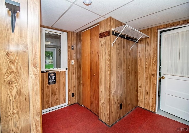 6 Tyler Ct, Manlius, NY 13104 - clothes washing area with carpet flooring and wood walls