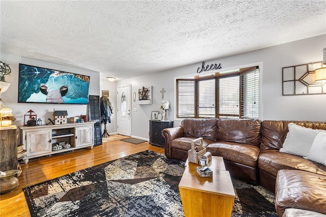 2033 Clarkson Parma Tl Rd, Clarkson, NY 14420 - living room featuring wood finished floors and a textured ceiling