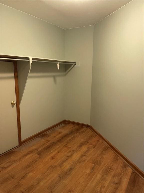 48 Hemlock Ln, Erwin, NY 14870 - spacious closet with wood finished floors