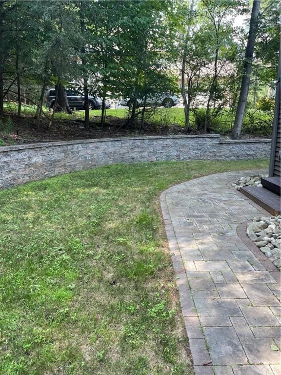48 Hemlock Ln, Erwin, NY 14870 - view of grassy yard