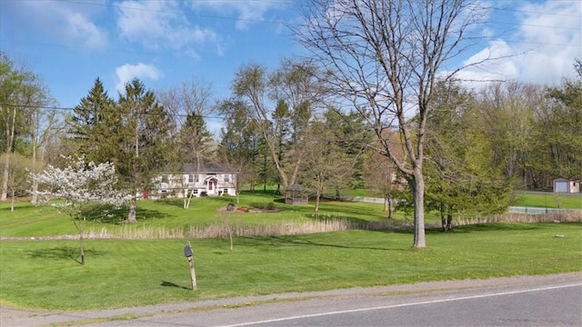 view of home's community featuring a yard