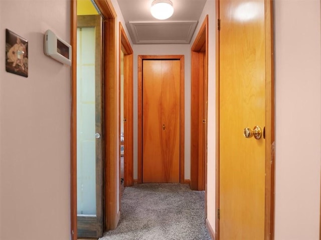 corridor with carpet flooring