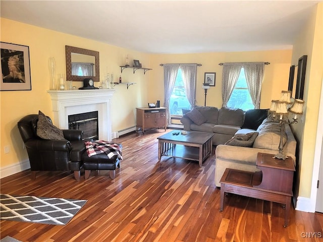 3130 Meadow View Ln, Sennett, NY 13021 - living room featuring baseboard heating, wood finished floors, a fireplace, and baseboards