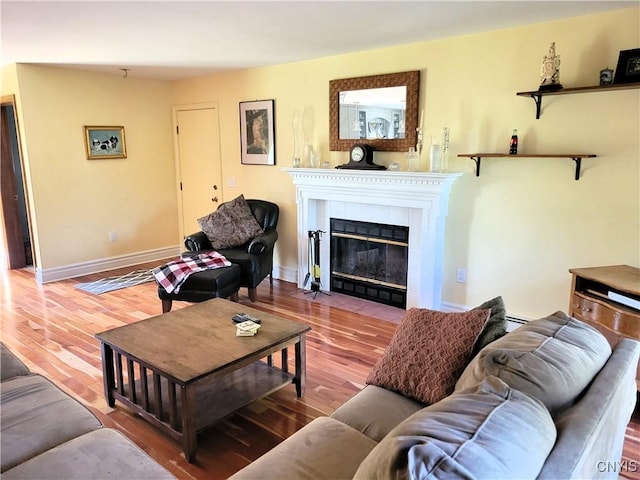 3130 Meadow View Ln, Sennett, NY 13021 - living room with a fireplace, wood finished floors, and baseboards