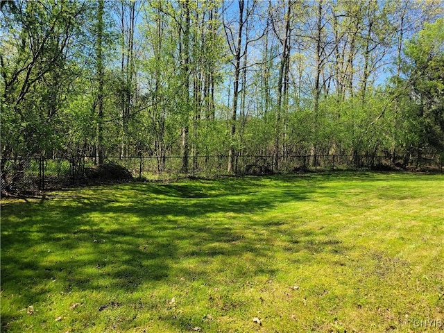 3130 Meadow View Ln, Sennett, NY 13021 - view of yard