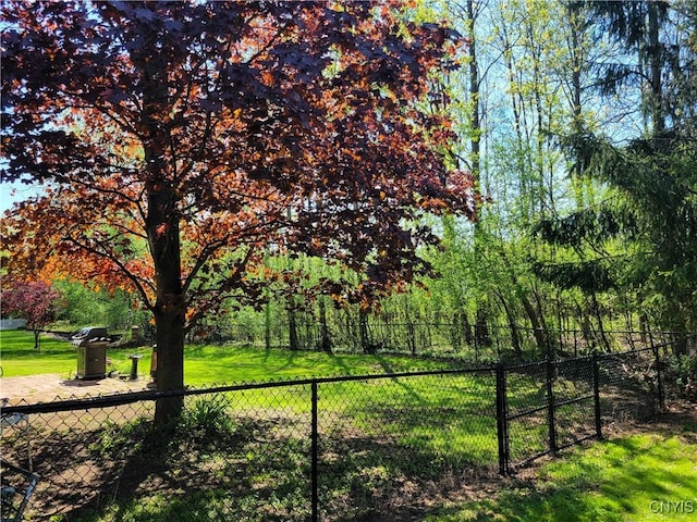 3130 Meadow View Ln, Sennett, NY 13021 - view of yard