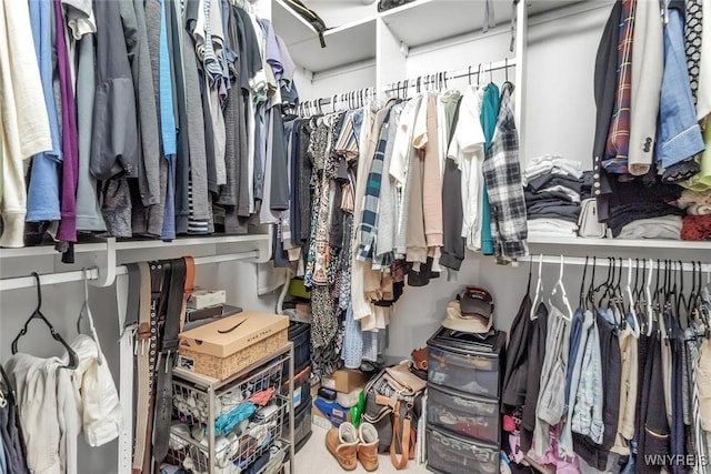 view of walk in closet