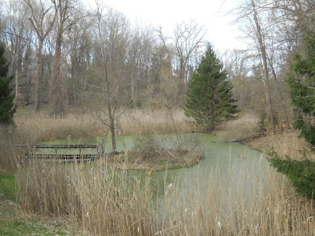 water view