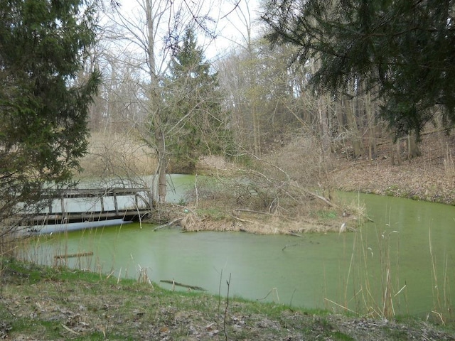 view of dock area