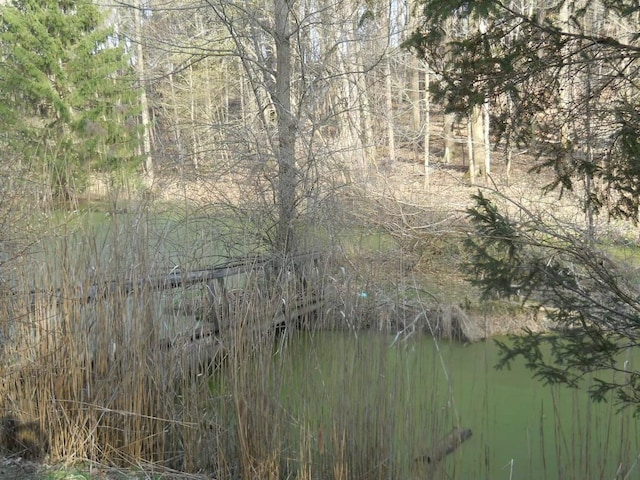 view of nature
