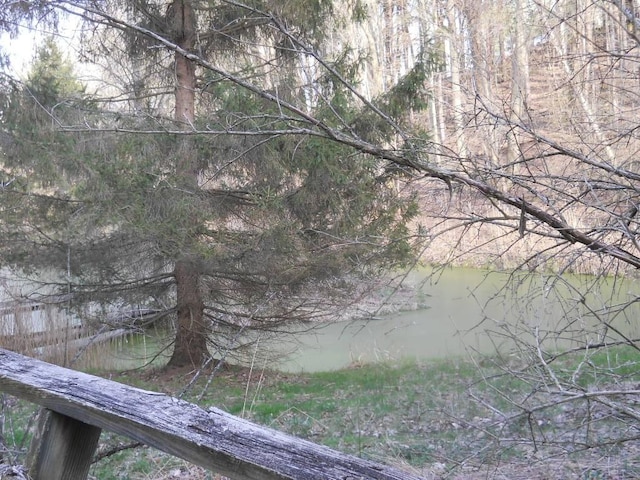 view of local wilderness featuring a large body of water
