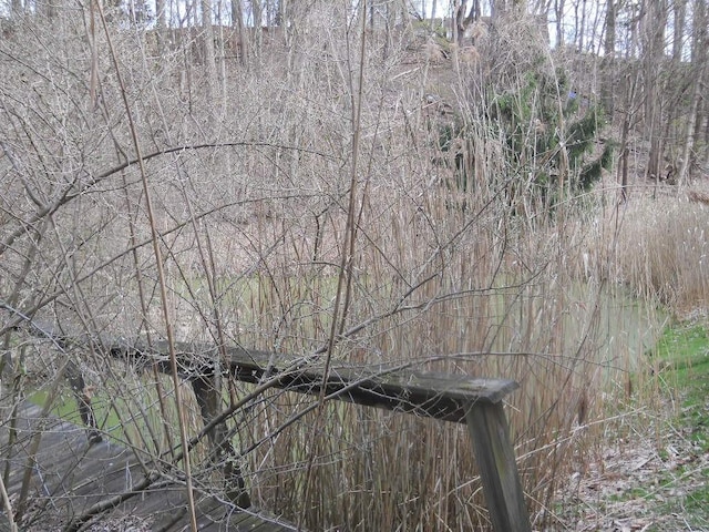 view of nature
