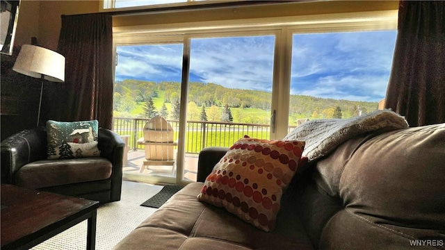 58 Alpine, Ellicottville, NY 14731 - photo 30