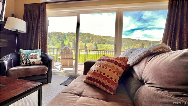 58 Alpine, Ellicottville, NY 14731 - photo 31
