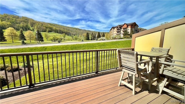 58 Alpine, Ellicottville, NY 14731 - photo 33